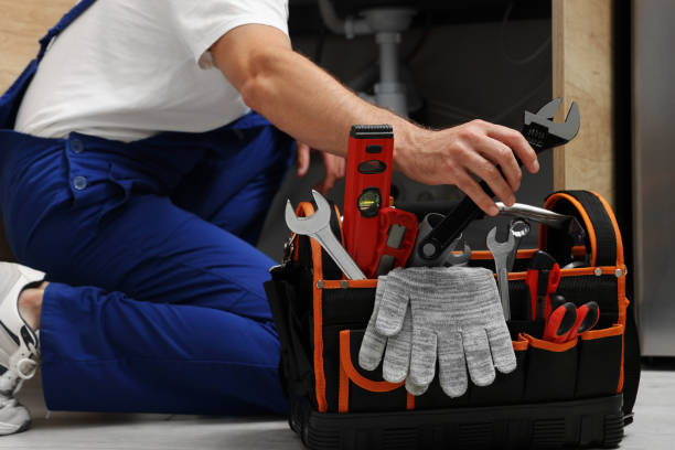 Best Commercial Plumbing Services  in Paradise, NV